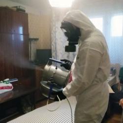 Дезинфекция от клопов в Элисте