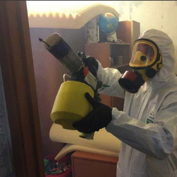 Уничтожение клопов в квартире. Элиста